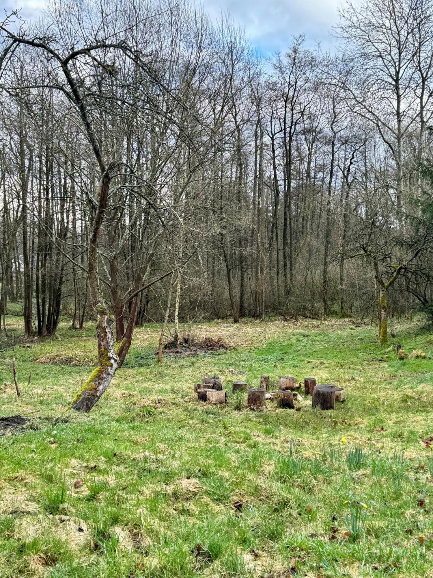 Apartmán V Udoli Jablonné v Podještědí Exteriér fotografie